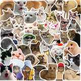 Meme Cats Stickers